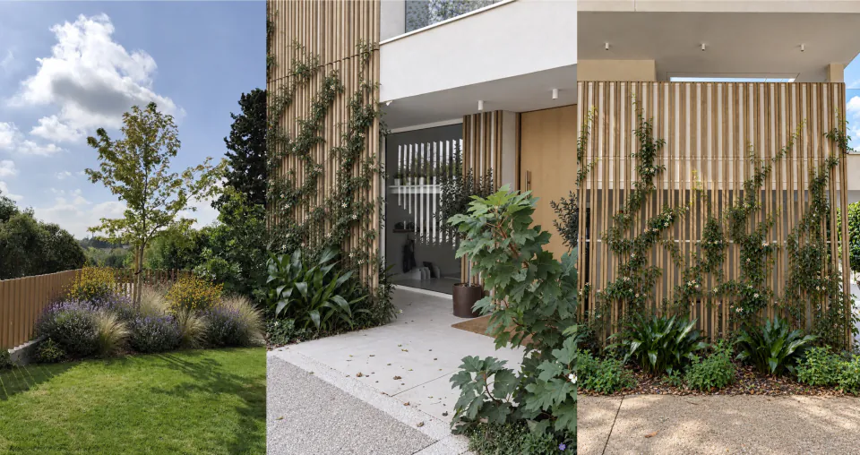 Garden views: Mediterranean planting, a timber trellis with climbing jasmine and the entrance